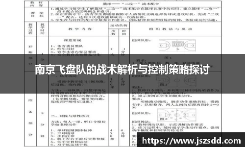 南京飞盘队的战术解析与控制策略探讨